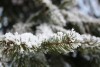 В выходные в Калининградской области ожидается дождь и снег
