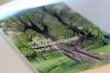 «Памятники живой природы»: в Калининграде представили книгу о старых деревьях региона