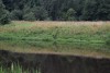 Трое мужчин незаконно переплыли по реке Шешупе из Калининградской области в Литву 