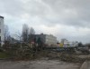 Штормовой ветер повалил 14 деревьев в Калининграде