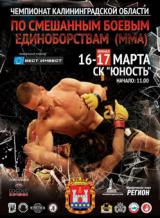 Чемпионат области по смешанным единоборствам (MMA)