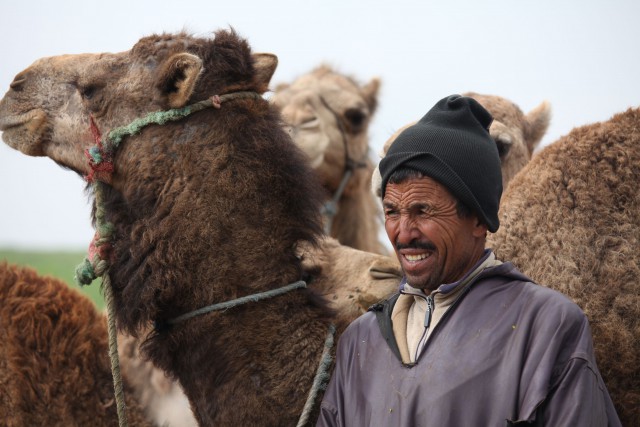 «Подорожники-8. Сказочное Марокко»: Марракеш — Ифран — Фес (фото)