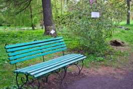 «Вспоминая город-сад»: с начала года власти Калининграда «застолбили» в городе 12 зелёных зон