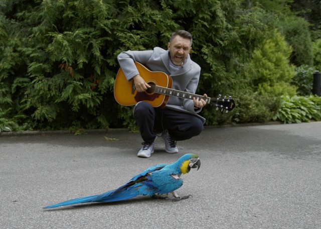 Шнур спел песню про «лабутены» для депрессивного попугая Моники из калининградского зоопарка (видео)