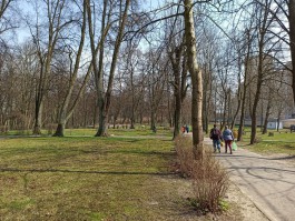 Дятлова рассказала, когда на улице Киевской в Калининграде появится ландшафтный парк