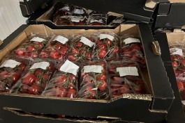 Калининградские таможенники изъяли на границе с Литвой полтонны санкционных томатов и перцев 
