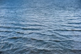 СМИ: Клайпедский порт спускал в Куршский залив сточные воды с ртутью