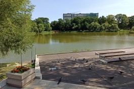 До конца года в Калининграде собираются почистить берега Летнего озера