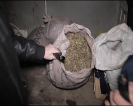 «Летучий голландец» изъял 24 килограмма марихуаны у автомобилиста в Черняховском районе (фото)