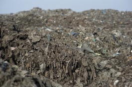 Крупный мусоросортировочный комплекс под Багратионовском рассчитывают построить до конца 2025 года