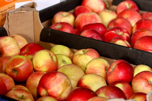 Россельхознадзор: Польские яблоки обрабатывают пестицидами по 35 раз