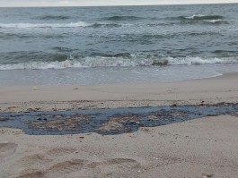 На Балтийской косе очистили 800 метров пляжа после разлива нефтепродуктов из танкера