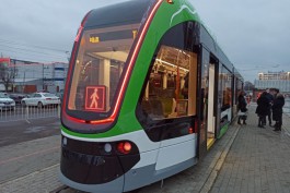 «Самый современный в мире»: в Калининграде показали новый трамвай «Корсар» (фото)