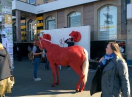«Ей всё равно»: ради пиара нового кафе в Калининграде покрасили живую лошадь (фото)