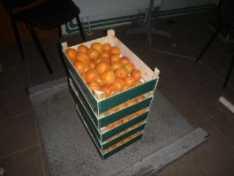 В Калининградской области уничтожили почти 11 тонн санкционных овощей и фруктов (фото)