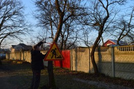 Власти: Калининградцы могут безбоязненно сдирать рекламные объявления с деревьев