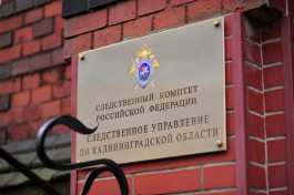 СК: Гендиректор ЧОПа в Калининграде поспособствовал банкротству собственной фирмы