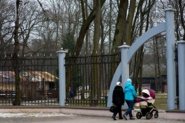 В Калининградской области хотят выплачивать материнский капитал за первого ребёнка