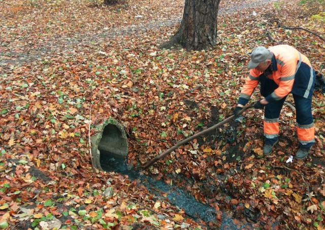 В парке им. Теодора Кроне в Калининграде перекрыли канализационные стоки, загрязняющие ручей