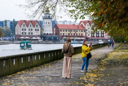 Эксперты: Осенние туры в Калининград подорожали на 10–20%