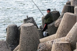 В Балтийске рыбаки спасли тюленёнка, заглотившего крючок для ловли салаки