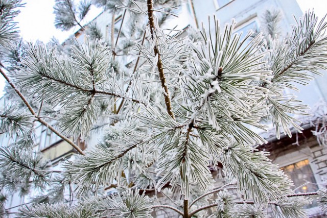 Синоптики прогнозируют в Калининградской области снег и дожди