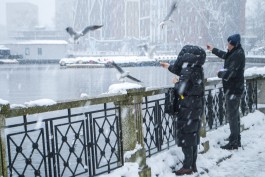«Репетиция зимы»: как выглядит Калининград после ноябрьского снегопада (фото)