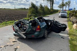 В Гурьевском округе дерево упало на автомобиль: пострадали водитель и восьмилетний ребёнок