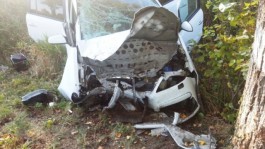 Из-за ДТП на Мамоновском шоссе «Шкода» влетела в дерево: пострадала женщина (фото)