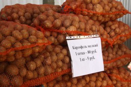 «Про запас»: где и почём в Калининградской области можно купить овощи на зиму