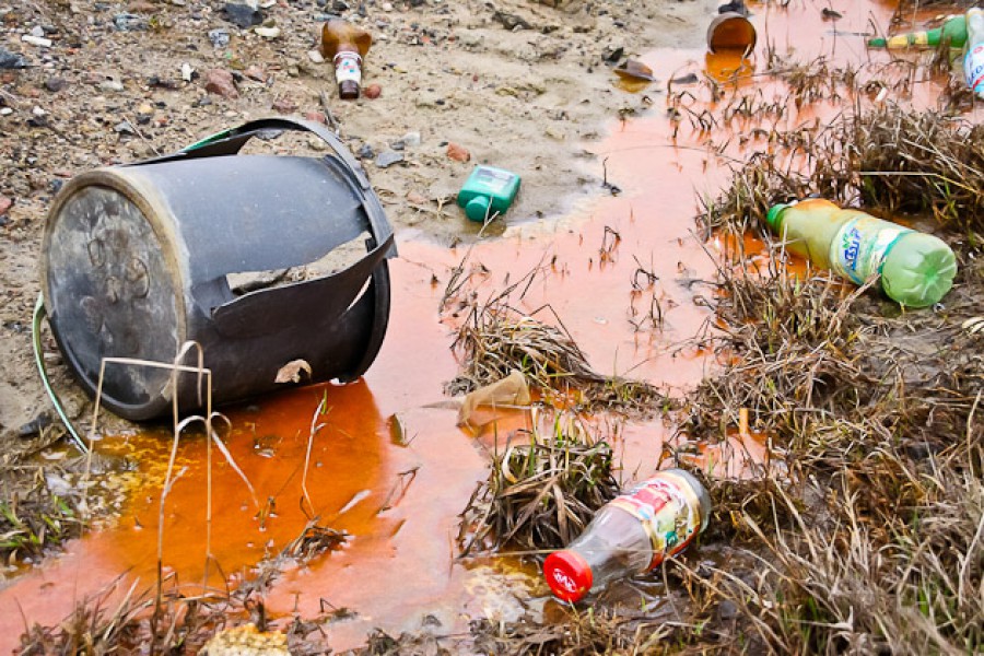 Администрация Калининграда «посвятит» 2013-й год вопросам экологии и утилизации отходов