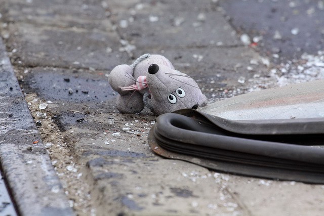 На улице Кошевого в Калининграде «Мерседес» сбил десятилетнего ребёнка