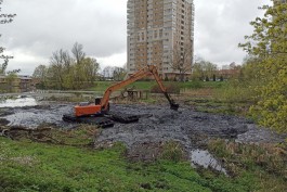 «Жижа, ил и отложения»: в Калининграде начали чистить Ялтинский пруд (фото)