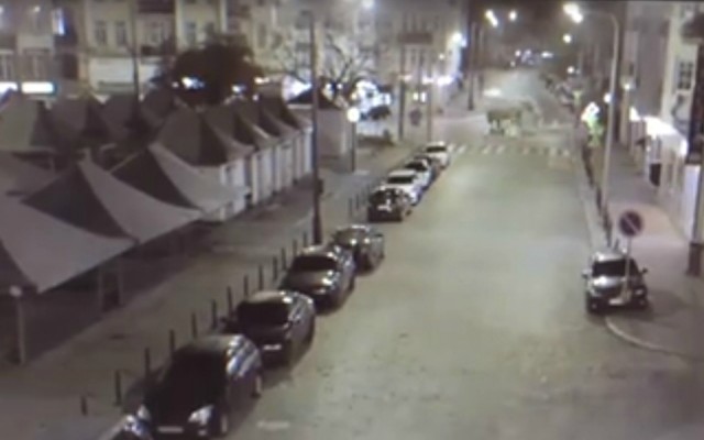 Камеры видеонаблюдения зафиксировали слона на улице в Познани (видео)