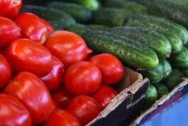 В Гусевском округе хотят построить тепличный комплекс для «полного импортозамещения» томатов и огурцов