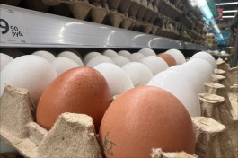 Алиханов назвал необъективным рост цен на яйца в Калининградской области