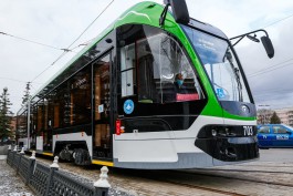 Дятлова рассказала о перспективах восстановления трамвайных маршрутов №1 и №4
