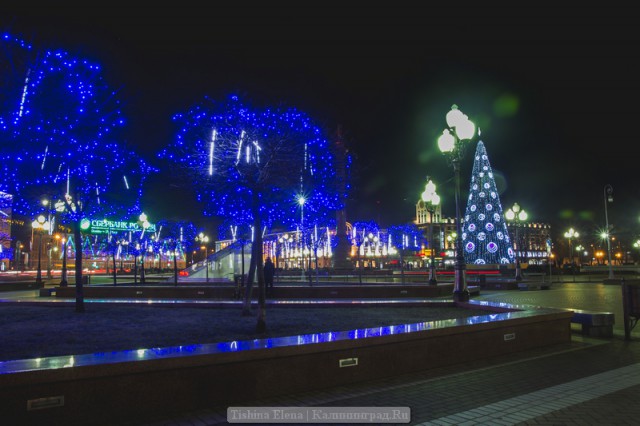  «Ярмарки, выставки и огоньки»: программа новогодних гуляний в Калининграде