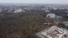 Мэрия расторгла договор аренды лесного массива на улице Донского в Калининграде
