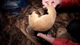Жители Ладушкина обнаружили бесхозный пакет с человеческими останками (фото)
