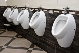 Прокуратура выявила нарушения при покупке «золотого» туалета в Полесске
