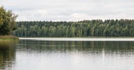 Власти Голдапа займутся очисткой Красного озера на границе с Калининградской областью