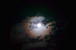 Астроном: В Калининградской области «кровавая луна» была уникальной