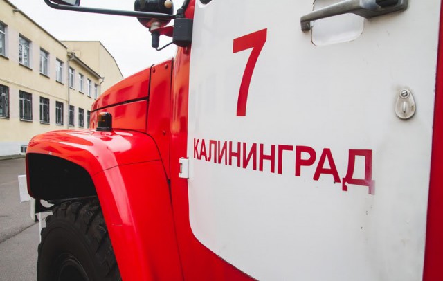В Калининграде сгорели здание правления СНТ и магазин