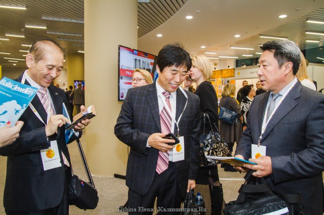 «Назло китайцам»: как проходит первый Экономический янтарный форум в Светлогорске (фото)