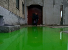 В Калининграде двор затопило кислотно-зелёной жидкостью (фото)