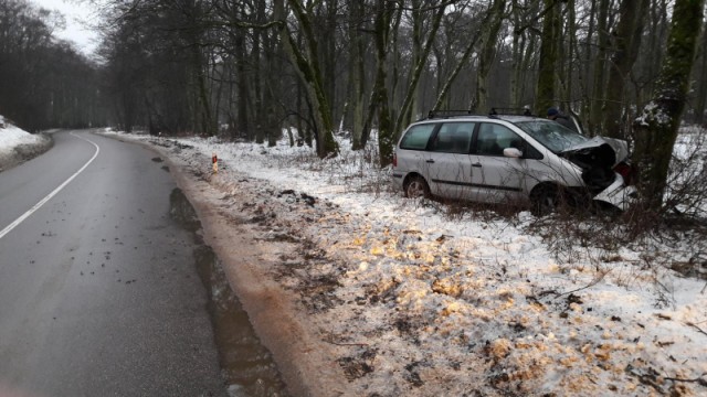 Под Зеленоградском «Форд» врезался в дерево: водитель погиб