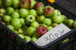 МИД: Поставки яблок из Польши для калининградских школ невозможны
