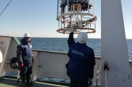 Учёные изучают запасы трески и камбалы в Балтийском море