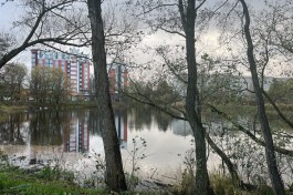 Между Летним и Зимним озёрами в Калининграде планируют благоустроить прогулочную зону 